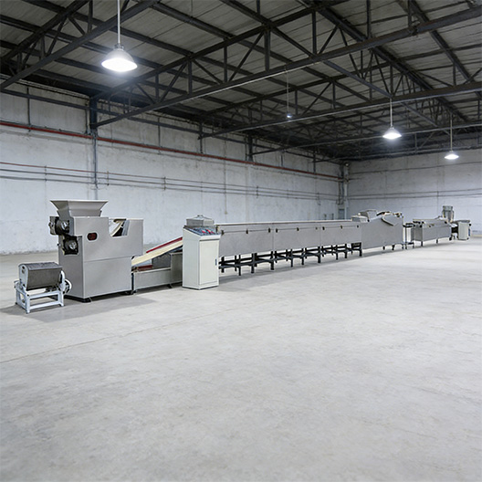 instant noodles production line,fried instant noodles production line,non-fryed instant noodles production line